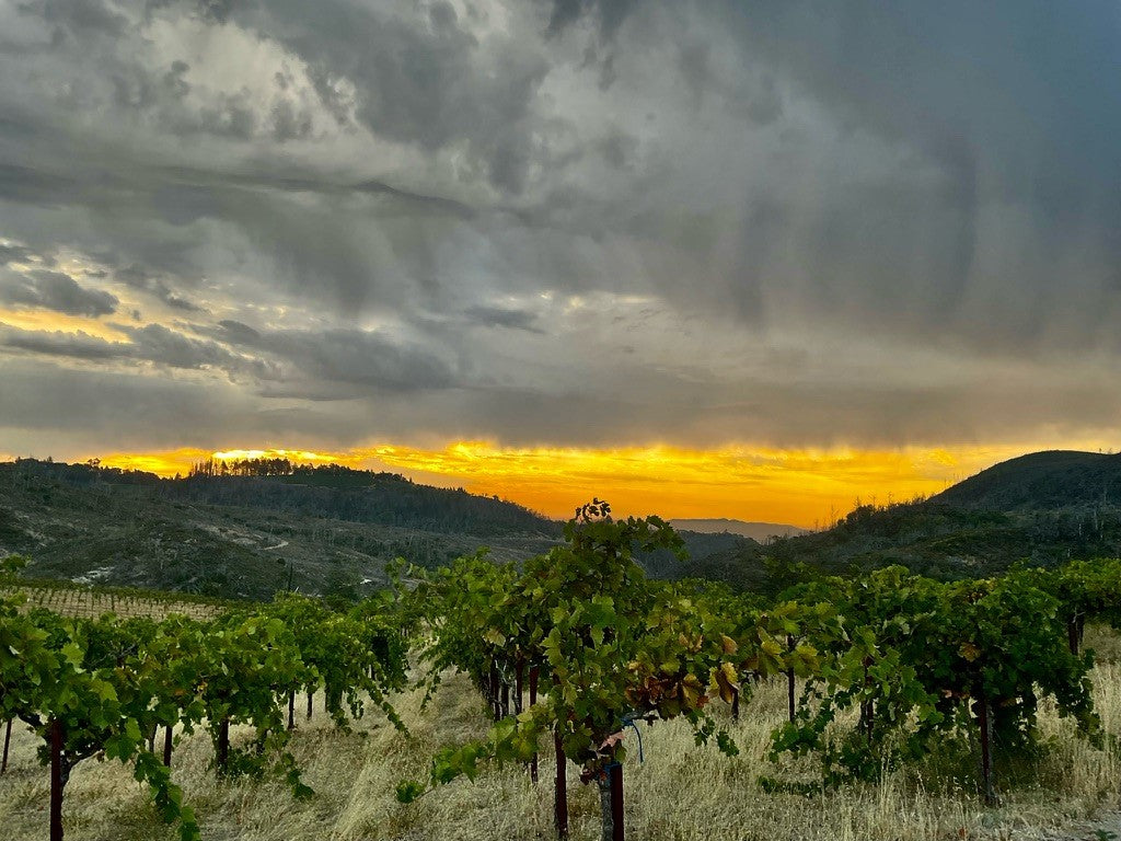 Sky Vineyards