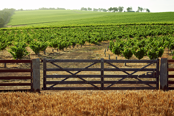 Appellation Farvie