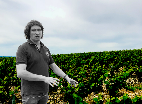 Guilhem & Jean-Hugues Goisot: An Affordable Feast of Biodynamic Burgundy, 2019-2021