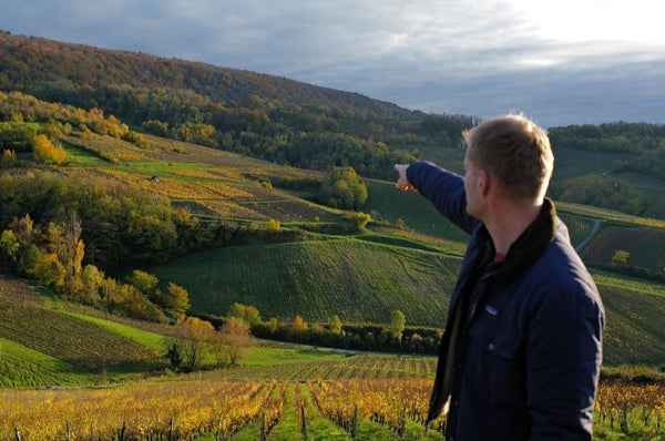 Cellier Saint Benoit: A Burgundy-Inspired Torchbearer for Jura’s Next Generation