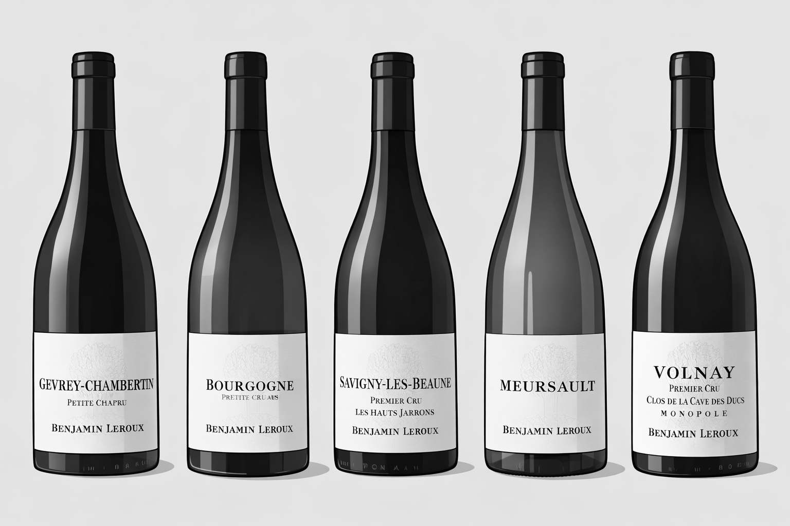 Benjamin Leroux 2023