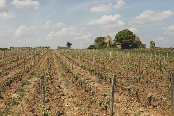 Domaine Huet