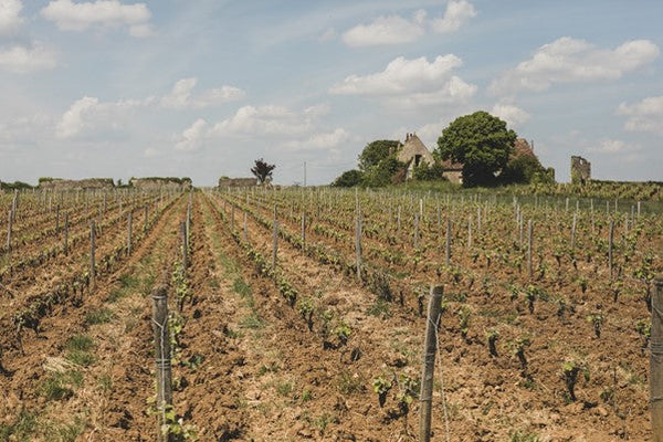 Domaine Huet