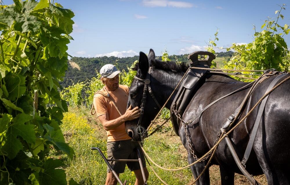 Domaine de l'Iserand