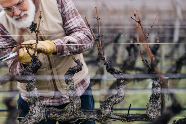 Simonit&Sirch Ultimate Pruning Guide