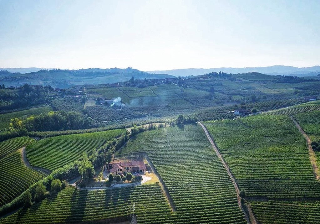 Massolino: 2018 Barolo and the "Absolutely Stunning" [Galloni] 2016 Vigna Rionda