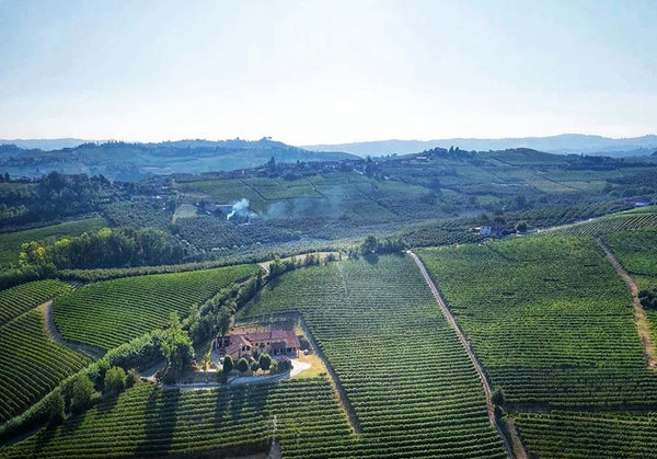Massolino: 2018 Barolo and the "Absolutely Stunning" [Galloni] 2016 Vigna Rionda