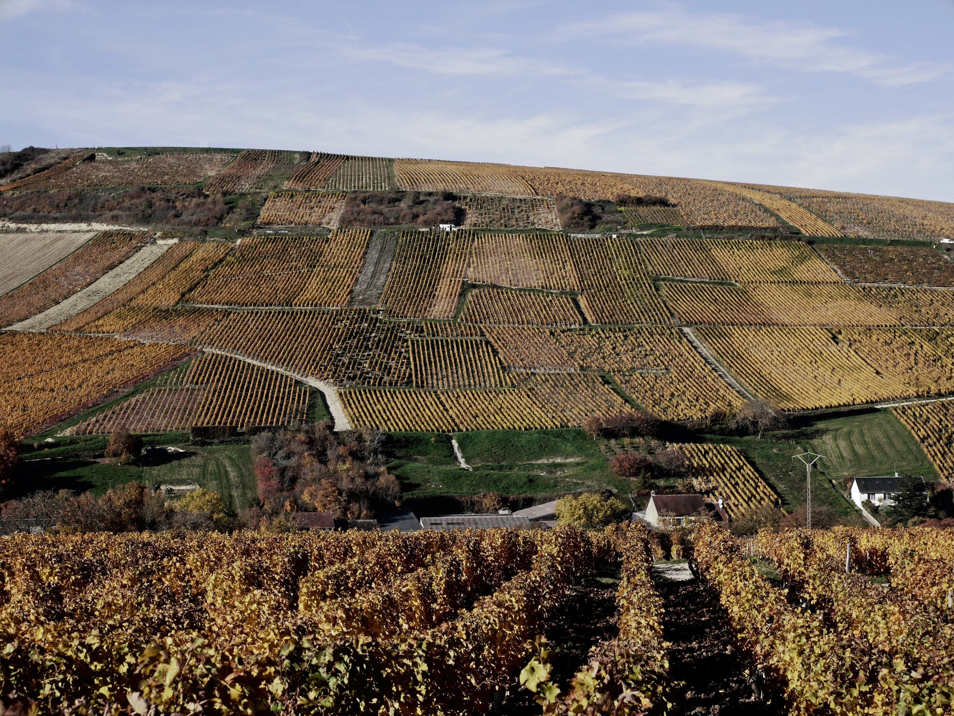 Boulay: Legendary Sancerre