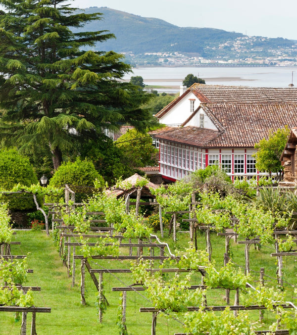 Santiago Ruiz  - Sip into Spring: Textural, Mouth-Watering Whites from a Beacon of Albariño