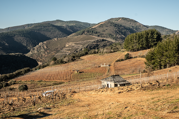 Mengoba