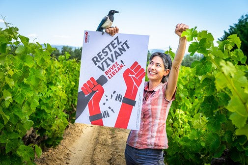 Mas de Libian: Delicious Biodynamic Ardèche - Vin de Pétanque ’22 & Friends