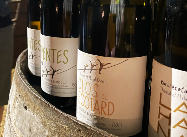 Clos de l’Écotard: The New Releases from a Rising Star