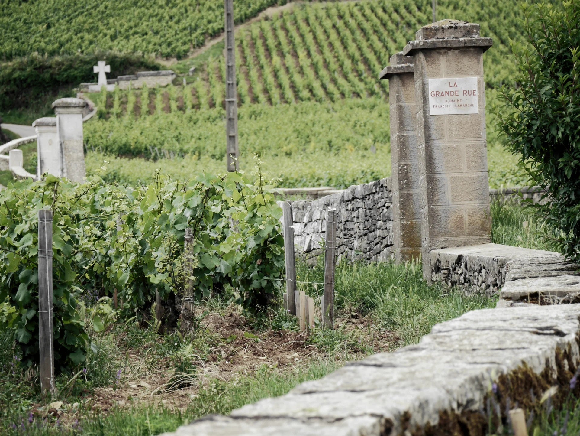 WINE TRAVELLER DIARIES: BURGUNDY