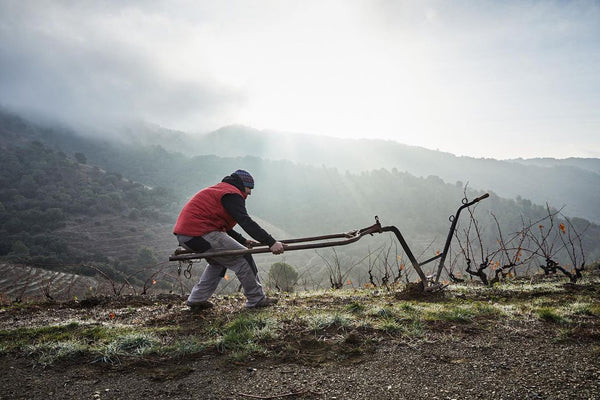 Terroir Sense Fronteres: Earth to Glass Montsant