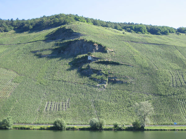 J. J. Prüm 2023