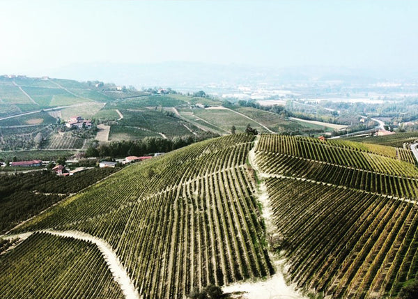 Piero Busso: Old Vine and Old-School Barbaresco