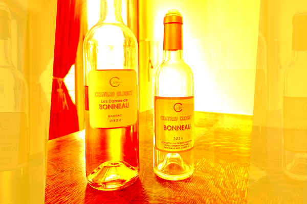 Château Closiot