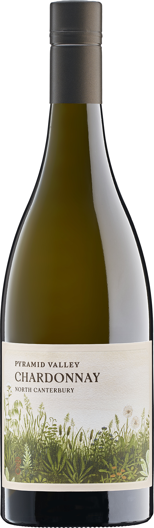 Pyramid Valley North Canterbury Chardonnay 2024