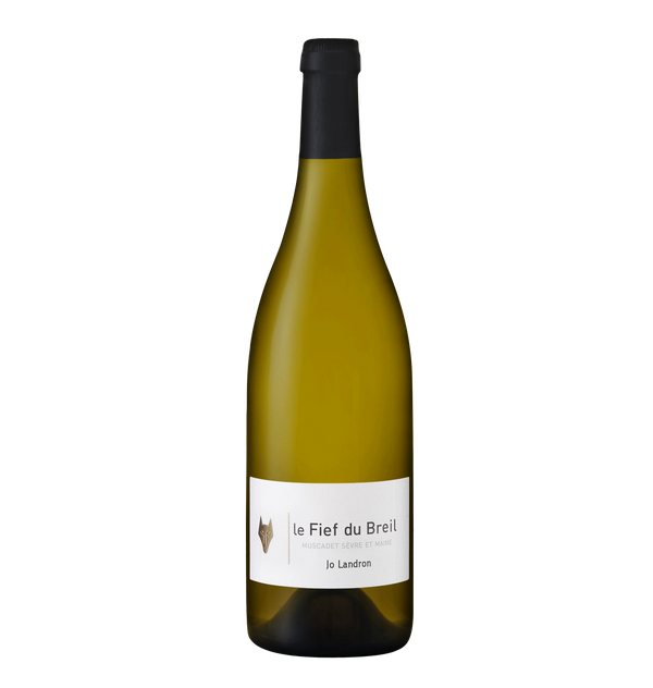 Jo Landron Muscadet Sèvre et Maine Le Fief du Breil 2016