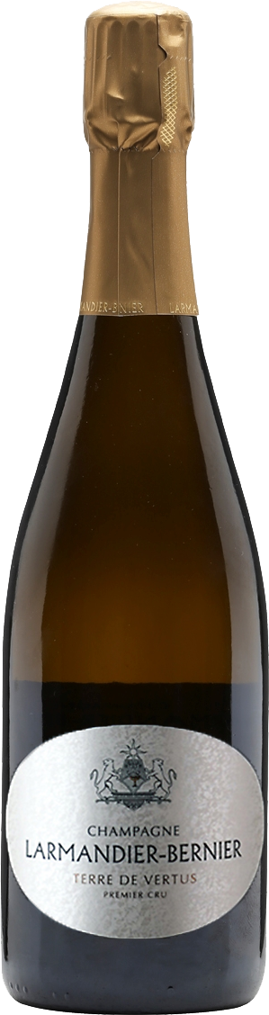 Champagne Larmandier-Bernier 1er Cru Terre de Vertus Blanc de Blancs 2016 (Disg. Nov 2022)