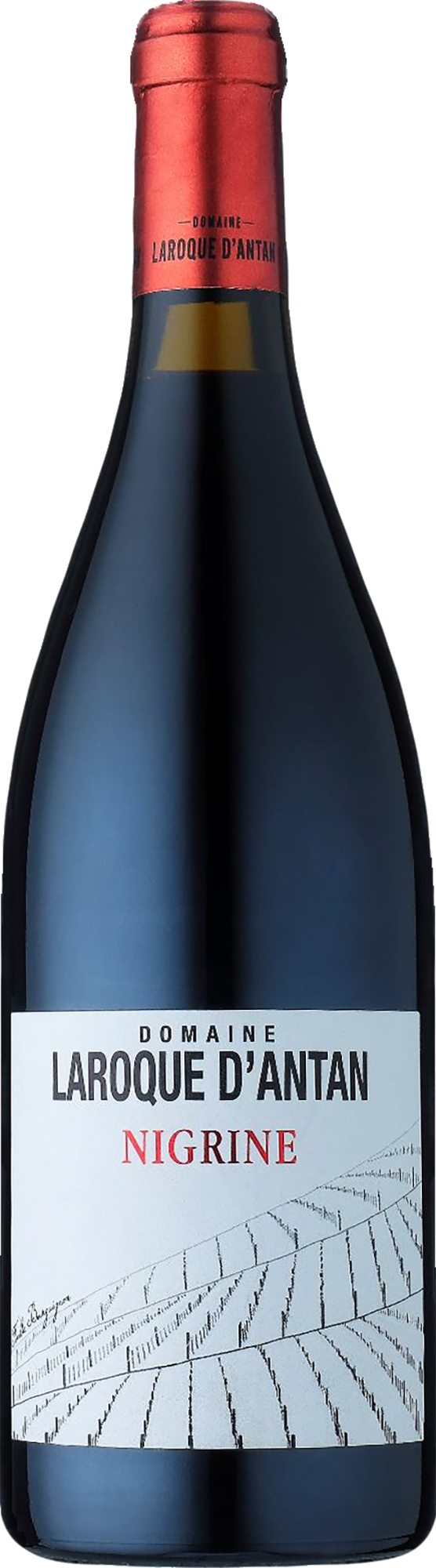 Domaine Laroque D'Antan IGP Côtes du Lot Nigrine Rouge 2021
