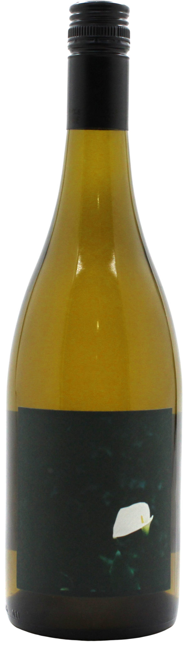 Little Reddie Dash Farms Blanc 2024