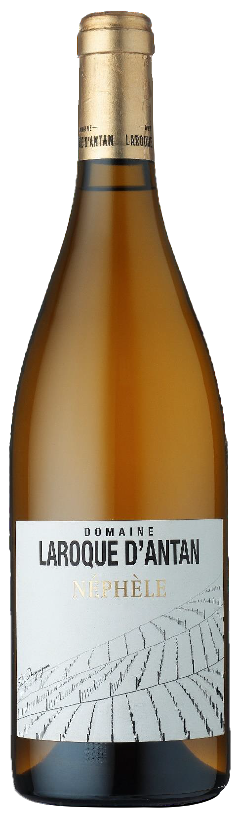 Domaine Laroque D'Antan IGP Côtes du Lot Néphèle Blanc 2020